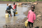 Young girl in foreground carries plastic jug of water from muddy water source, woman and older girl in background fill jugs