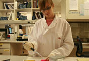 Veterinary scientist Tessa LeCuyer works with samples in a lab