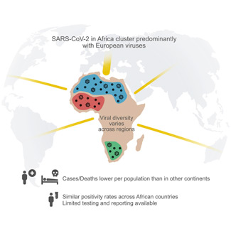 Illustration of SARS-CoV-2 in Africa
