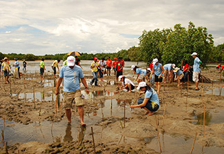USAID group at a mangrove planting activity in the Philippines municipalities of Quilitisan, Calatagan and Batangas.