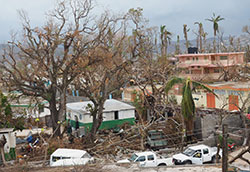 Damaged trees and buildings in Haiti after Hurricane Matthew in 2016