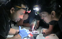 Group of researchers in dark lab earing headlamps closely examine samples
