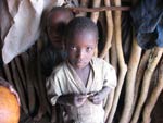 One young boy stares into camera, another boy stands right behind him in the shadows, many sticks in the background