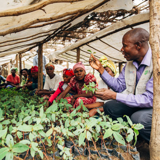 man showing planted crops to group of people