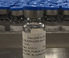 Close up of vial with label reading Zika (ZIKV), many vials in background