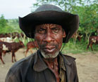 Older man in rugged clothes looks into camera, herd of cattle grazes in the background