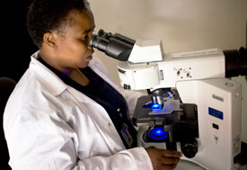 Woman in white lab coat looks at slides using large microscope
