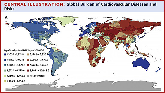 This map shows the Age-Standardized DALYs (disability adjusted life years or the sum of years of life lost due to premature death and years lived with disability) per 100,000 people for cardiovascular diseases globally by country and in some cases, by states within countries. Swaths of Eastern Europe, Central Asia, and Africa are colored red, which indicates the highest level of disease burden.