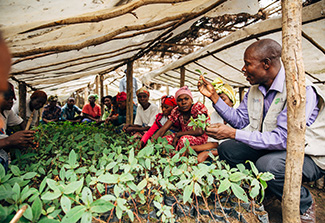 A man shows planted crops to a group of people. Photo Credit: Tanya Martineau, USAID