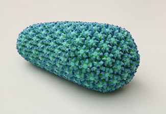 Photo of 3D-printed model of the HIV capsid
