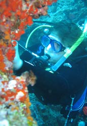 Under water a diver examines plants and rocks