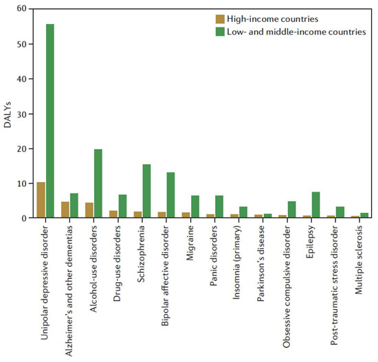 Bar graph shows DALYs for 14 disorders comparing HICs to LMICs, see description immediately following for data source