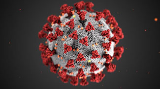 Coronavirus illustration, CDC.