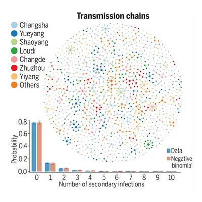 Chart shows SARS-CoV-2 transmission chains. See original publication for source data.