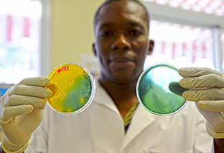 The photograph shows a man holding up two petri dishes at the National Laboratory in Port-au-Prince, Haiti. The dish on the left has a yellow appearance, indicating a positive result for the vibrio cholera bacteria. The dish on the right appears blue green.