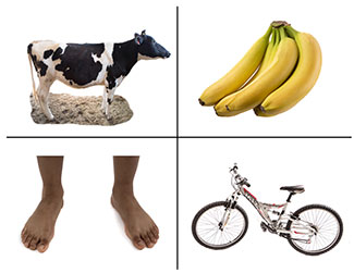 4 sample photos used in Verghese picture-based screening tool used in the U.S., including a cow, bananas, feet and bike