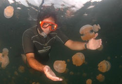 Dr Alex Dehgan underwater in wetsuit with snorkel and mask