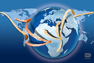 Illustration of a global with arrows representing the movement of people from Africa to other places in the world.