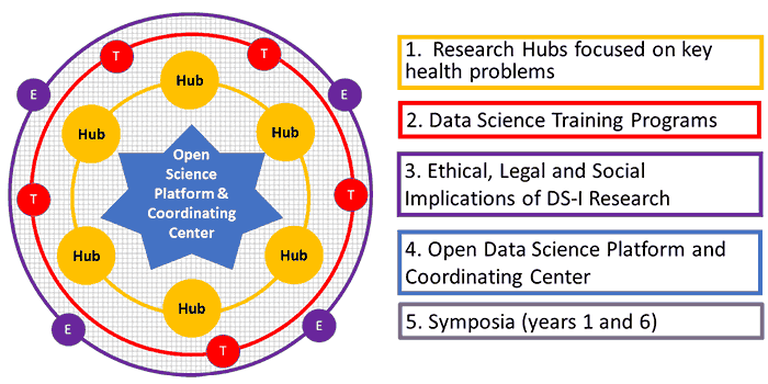 Illustration and description of DS-I Africa sub-initiatives. Full description immediately follows.