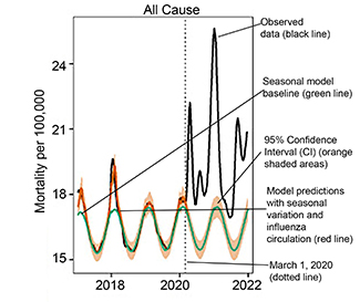 Graph showing weekly national mortality rates and model baselines (per 100,000) for all causes of death 2017-2022. The black line (upper line for years 2020-2022) shows observed data, the green line shows the seasonal model baseline, the orange shaded areas the 95% Confidence Interval (CI) on the seasonal baseline, and the red line shows model predictions with seasonal variation and influenza circulation. Excess mortality attributed to the COVID-19 pandemic is defined as the area between the black and green line from March 1, 2020, onwards. The dotted black vertical line marks the start of the pandemic on March 1, 2020.