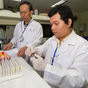 Two men in a lab in white coats work with a counter full of test tubes