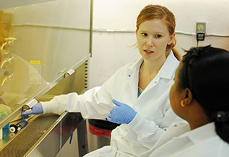 Dr Brie Falkard wearing lab coat and protective gloves works in lab next to fume hood, speaking with another lab worker