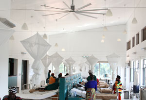 Large, bright hospital ward with high ceilings, large windows, large ceiling fan and nets hanging over two rows of beds