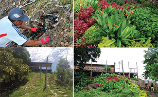 Two before photos show dirt, trash, bare ground and unsafe stairs. Two after photos show lush plants and improved stairs.