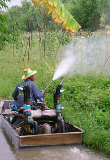 Man riding in boat alongside lush green field of crops sprays crops with pesticide