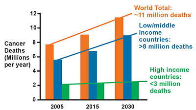 Bar graph shows cancer deaths in millions per year in 2005, 2015 and 2030, full description follows