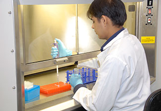 A young researcher works in a lab at Aga Khan University