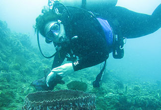Dr. Marcy Balunas explores ocean floor under water in full scuba gear