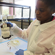 A person wearing a white lab coat and blue gloves examines a blood or fluid collection bag on a lab bench, surrounded by supplies including test tubes, spray bottles, and boxes of lab materials, with a large window showing greenery in the background.