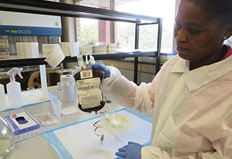 A person wearing a white lab coat and blue gloves examines a blood or fluid collection bag on a lab bench, surrounded by supplies including test tubes, spray bottles, and boxes of lab materials, with a large window showing greenery in the background.