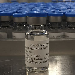 Close up of vial with label reading "Zika (ZIKV)," many vials in background