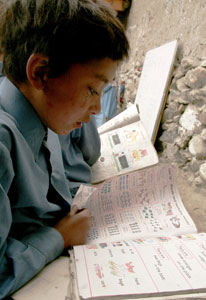 Young boy reading