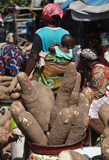 A woman carrying her baby walks in front of yam tubers in Nigerian market