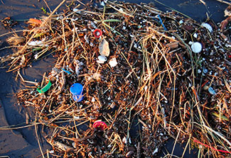 Pieces of plastic that washed ashore after a storm in the Pacific Ocean beach in San Francisco.