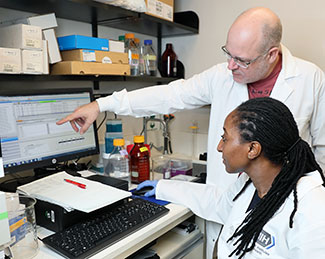 postdoc works in NIH lab on computer with senior investigator