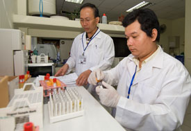 Two men in a lab in white coats work with a counter full of test tubes