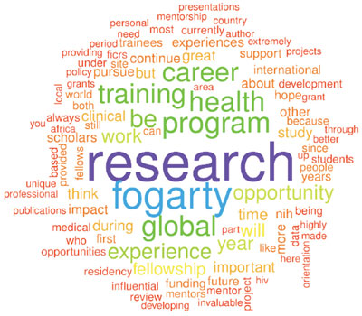 Word cloud created from survey responses, largest words include: research, fogarty, career, training, health, program, global