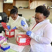 Dr. Siana Nkya working with her colleagues in a Tanzanian lab