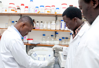 Three male researchers wearing white lab coats and gloves work with equipment in lab