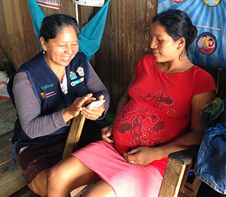 Health worker enters data on mobile device while seated pregnant patient looks on