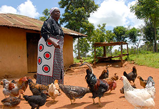 Older woman surrounded by chickens outdoors in front of a building.