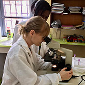 Courtesy of Jillian Armstrong. In a lab in Cameroon, Jillian Armstrong uses a microscope while another lab worker looks on.