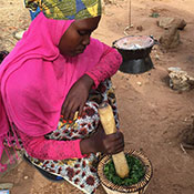 Courtesy of Dr. Carrie Waterman. Crushing moringa leaves using a mortar and pestle.