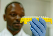 Closeup of researcher wearing gloves closely examining a tray full of samples