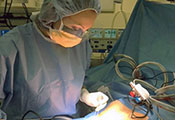 Dr. Lily Gutnik in operating room operates on patient who is under cover on the operating table