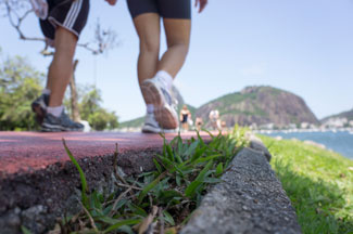 Groups of people and a herd of animals walk along an unpaved toward the sunset.